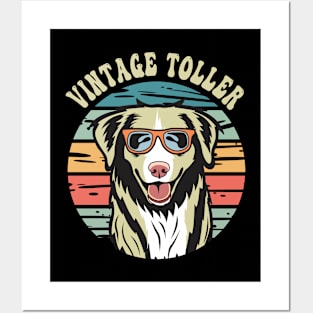 Vintage Toller Vibes Nova Scotia Duck Tolling Retriever Posters and Art